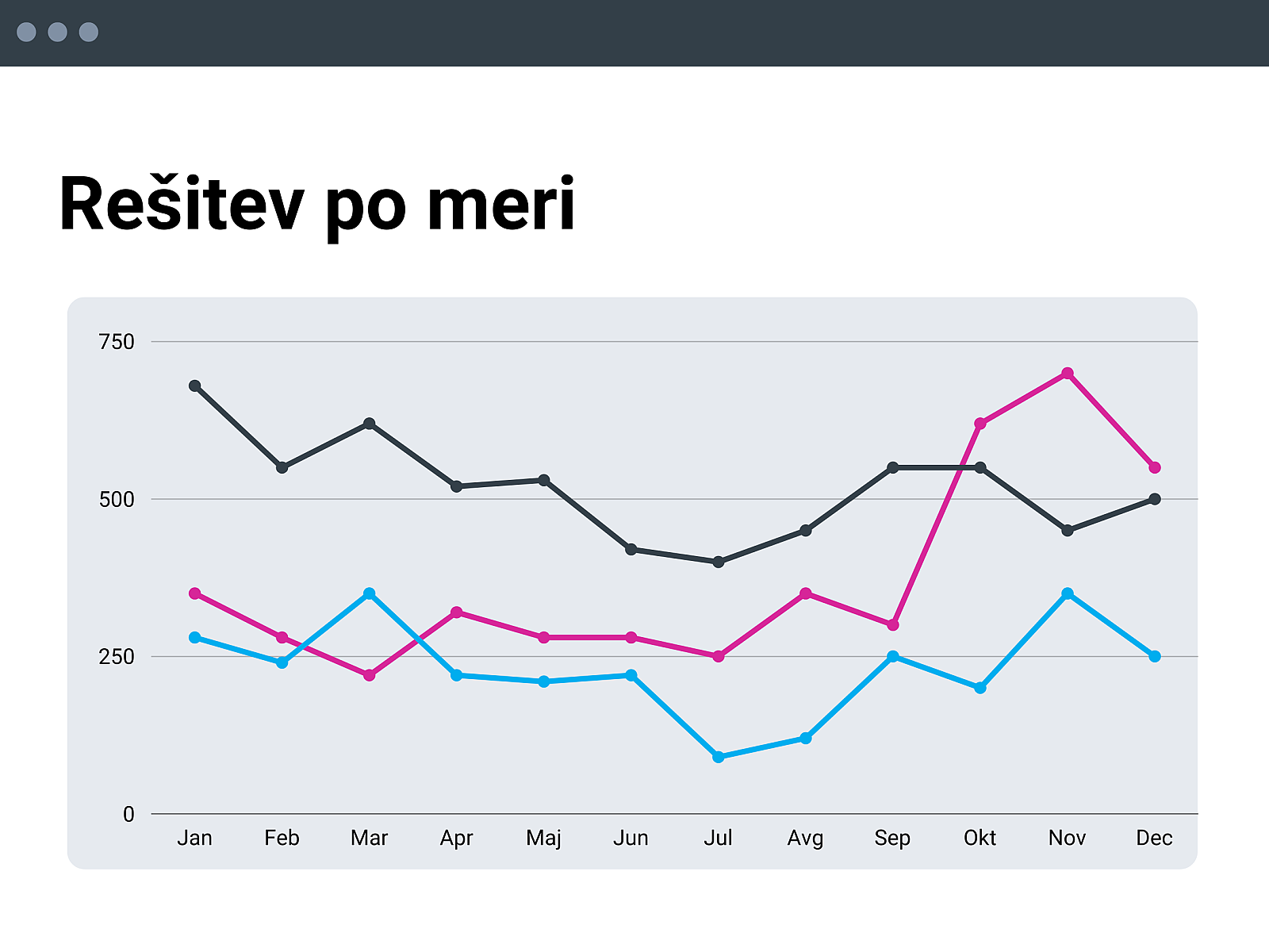 Rešitev po meri